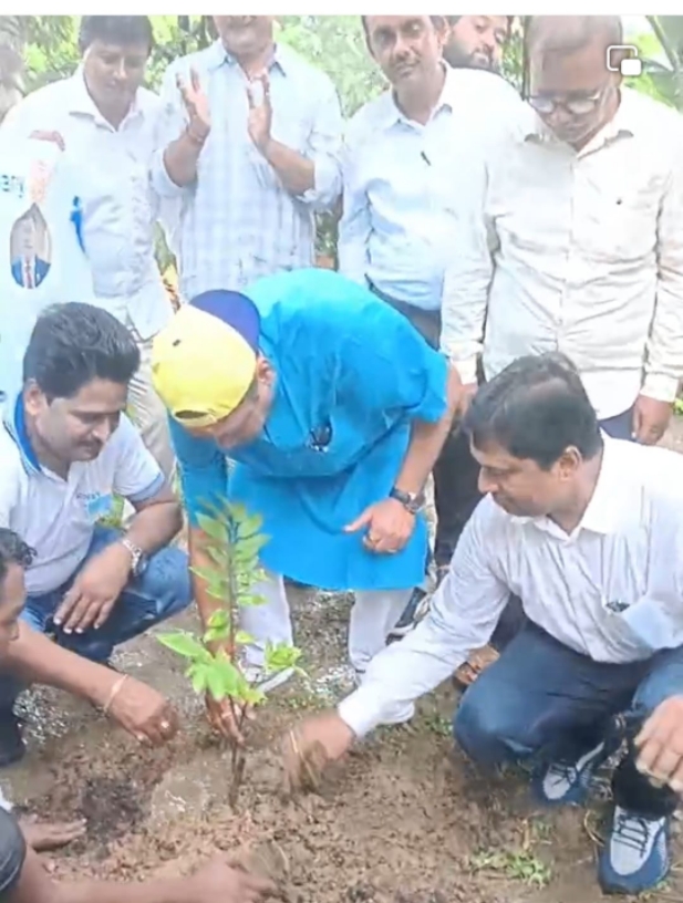 Tree plantation project.