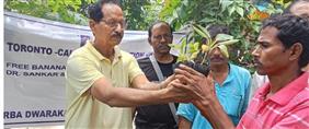Tree sapling distribution
