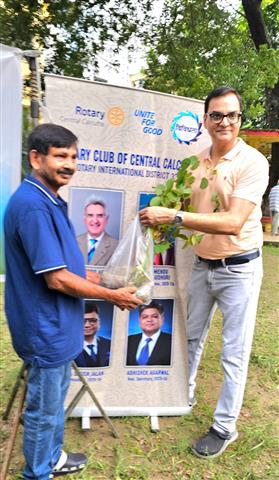 Tree Plantation