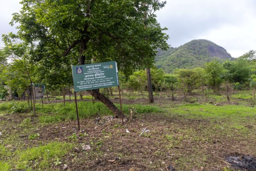 Aranya Mega Plantation 500 Plants