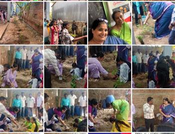 Tree Planting
