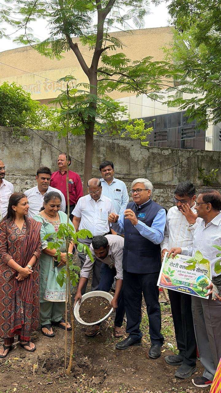Tree plantation