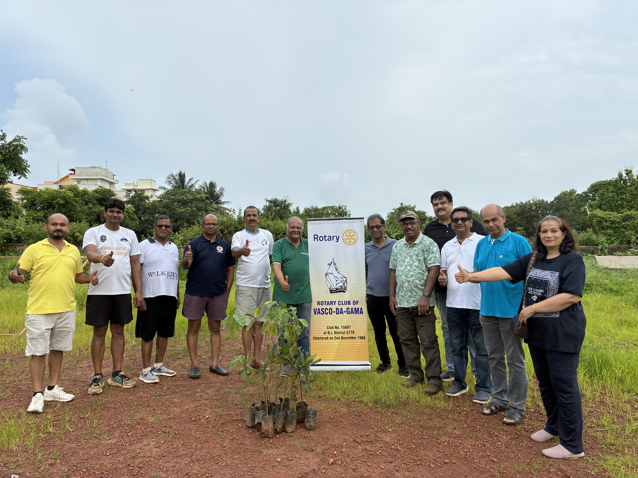 Tree Plantation