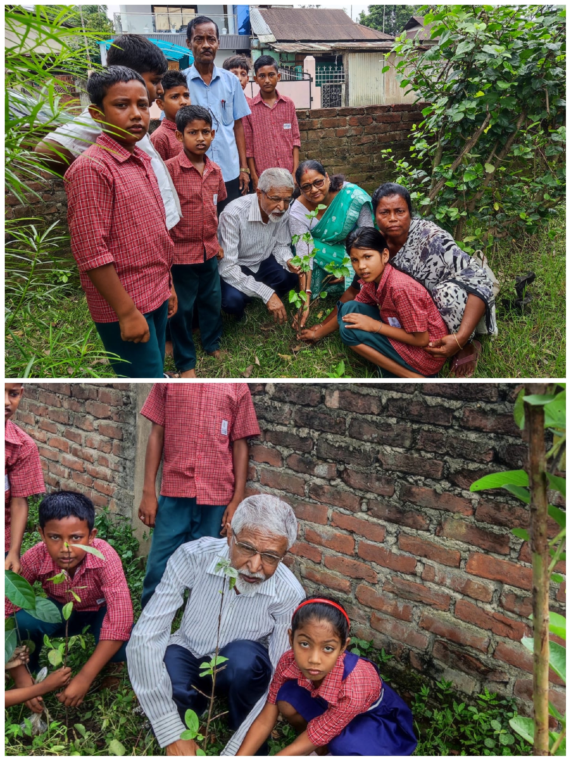 Celebration of World Environmental Day