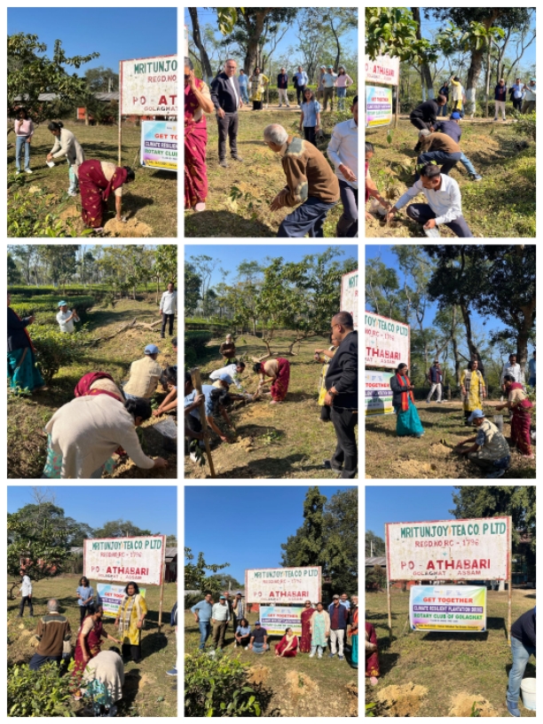Climate Resilient Tree Plantation Drive