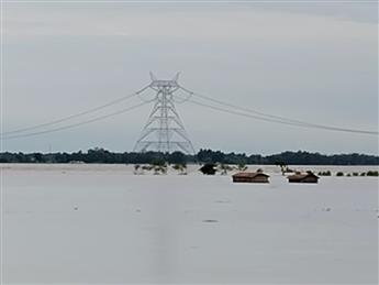 Flood Relief during disaster in North Bengal