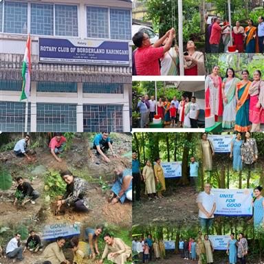 celebration of Independence day