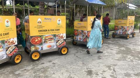 Chicken & Egg Pushcarts Project