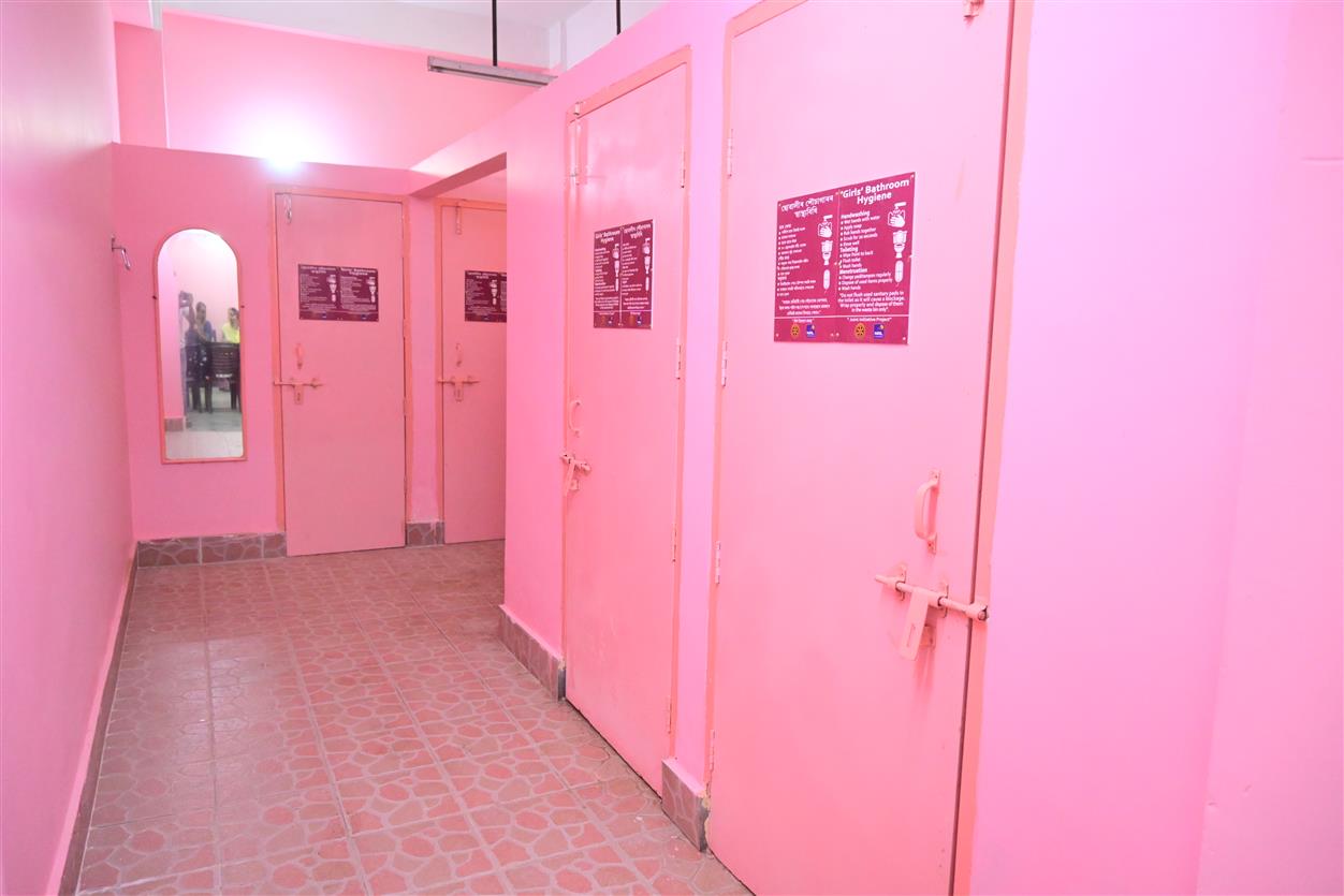 Pink Toilets