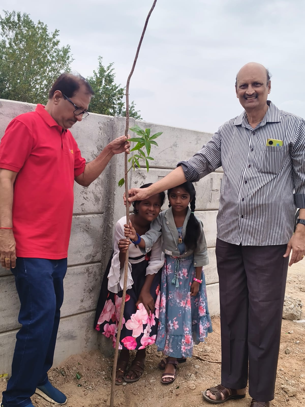 District Designated Day- Tree Plantation