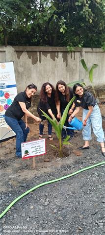 Tree Plantation Project