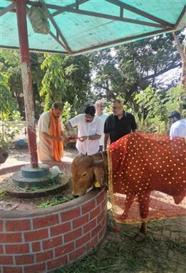 Animal Project - Donation for Gaushala