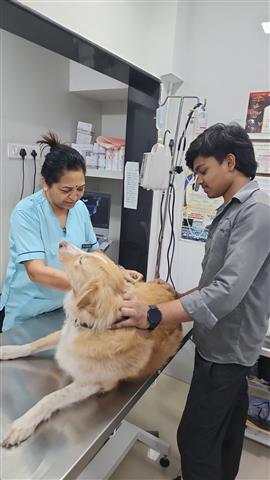 Pashu Raksha activity: Pet Wellness Project(1)
