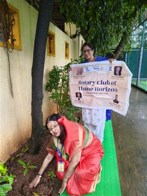 Monsoon Tree plantation  phase 1 activity 2