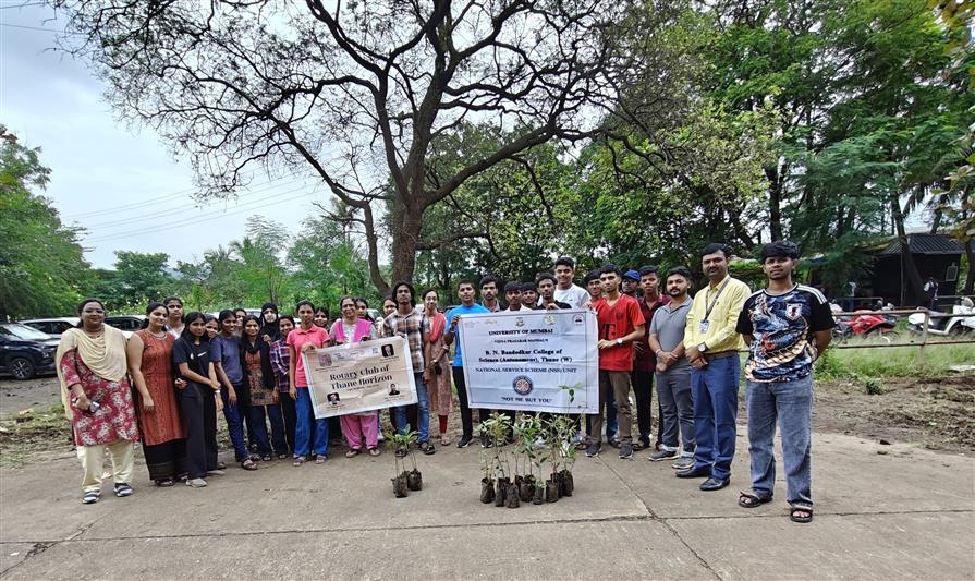 Tree Plantation Phase 2 Activity 1