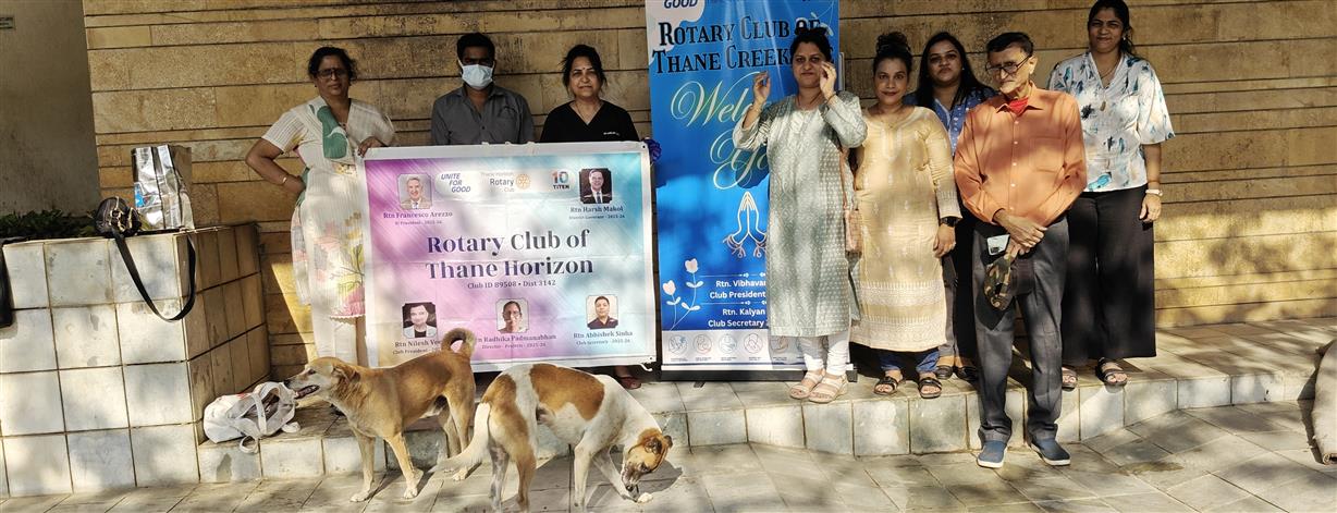 Vaccination of Stray Dogs(1)