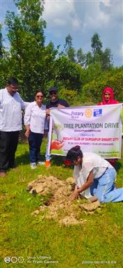 Tree Plantation Program