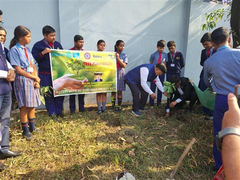 Tree Plantation