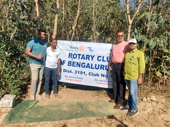 Plantation drive at Sundarvana
