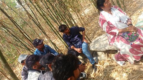 Samashti Foundations Vriksha Sena plantation