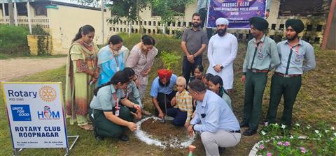 tree plantation