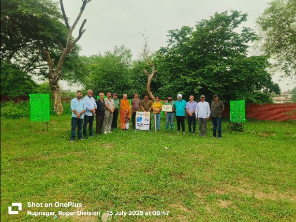 INSTALLATION OF TREE GAURDS