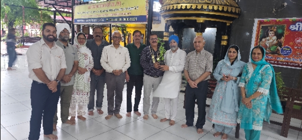 Distribution of tulsi plants.