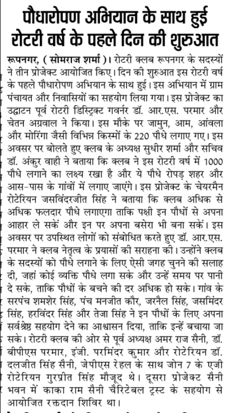 Tree plantation