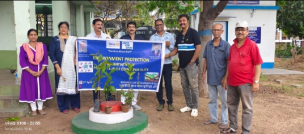 Tree plantation 