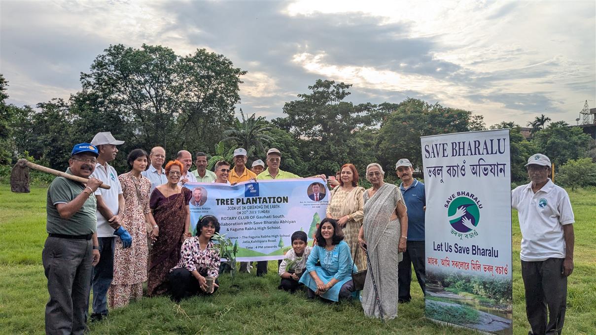 Tree Plantation