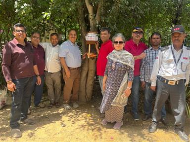 Installs 70 Bird Nests Under Daana Paani Nest