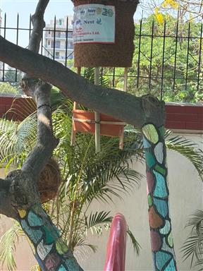 Daana Pani Nest at BalBharti Public School