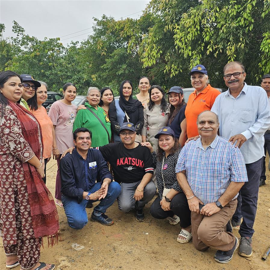 Grand tree plantation drive together