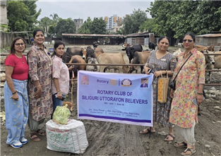 Cow Shelter