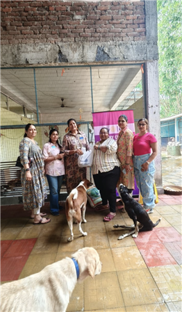 abandon dog welfare