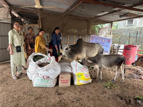 Seva For Voiceless Souls