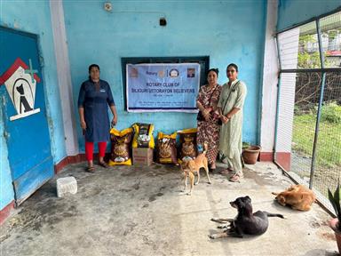 Seva For Voiceless Souls