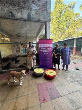 FOOD FOR VOICELESS ANIMALS