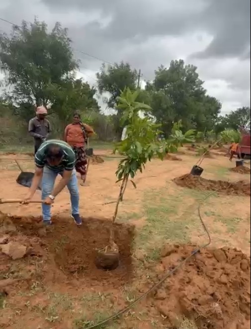 District Project: 5000 Plantations