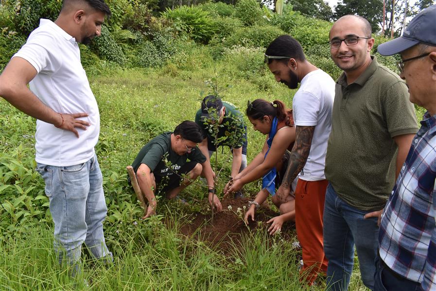 Tree Plantation Initiative