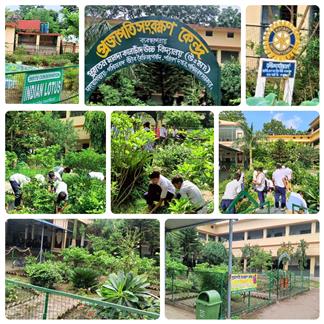 Happy School in School Cleanings activity