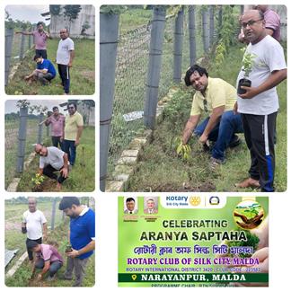Plantation at Narayanpur village on 21/07/2025