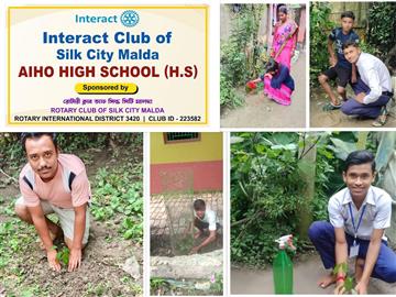 Plantation by our Interactors on 29/07/2025