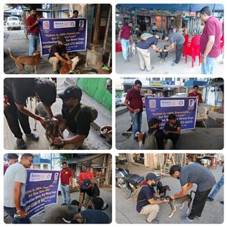 Rabies is100percent preventable Act Now,Save Lives