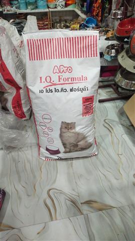 RAW - Food Provided To Stray Cats