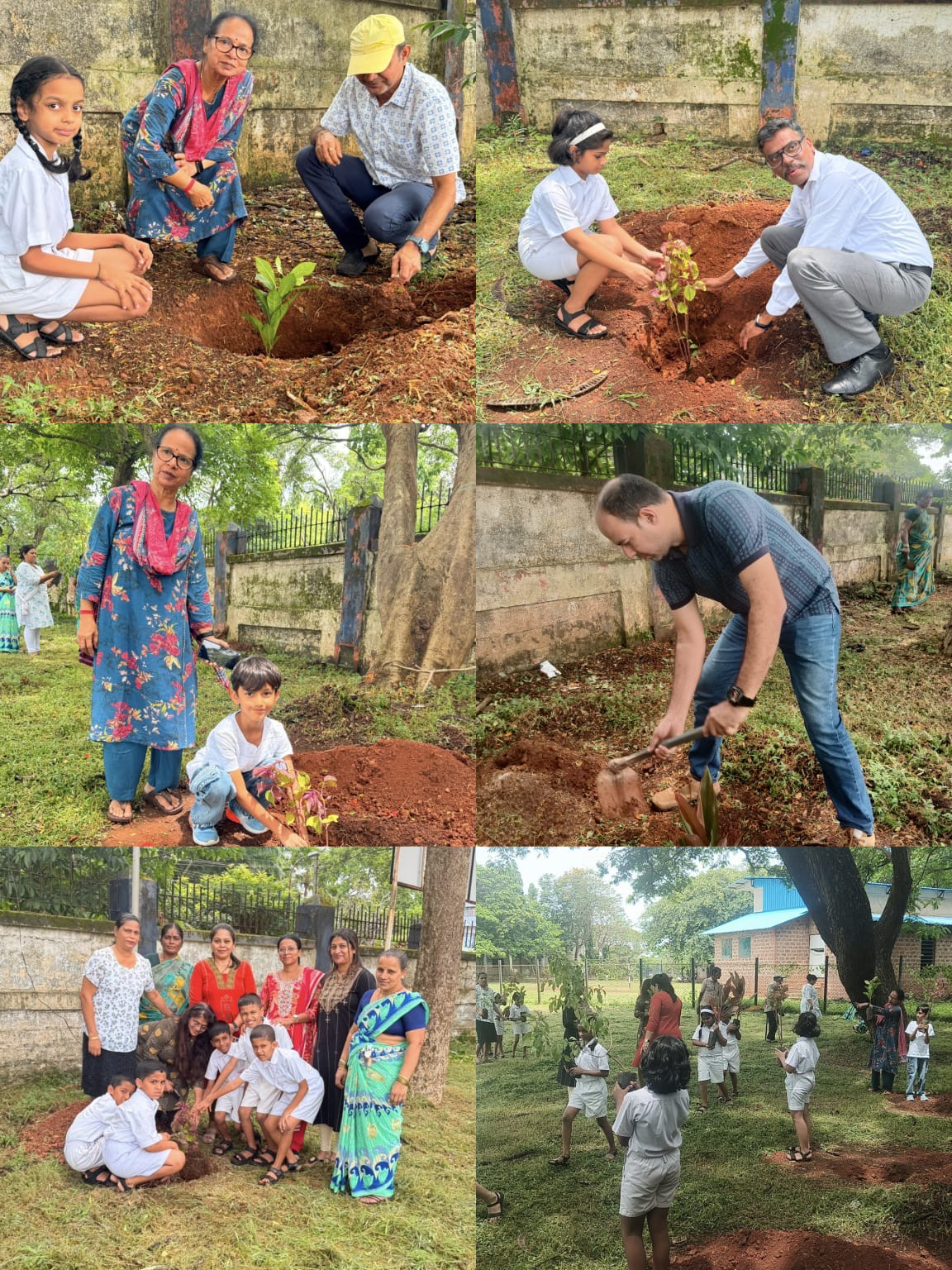 Treeplantation Drive