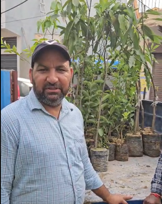 Tree Plantation, Village Rithoj