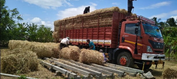 Project Goshala - Fodder Donation