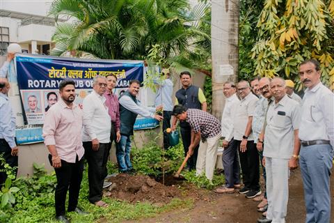 Tree Plantation Program