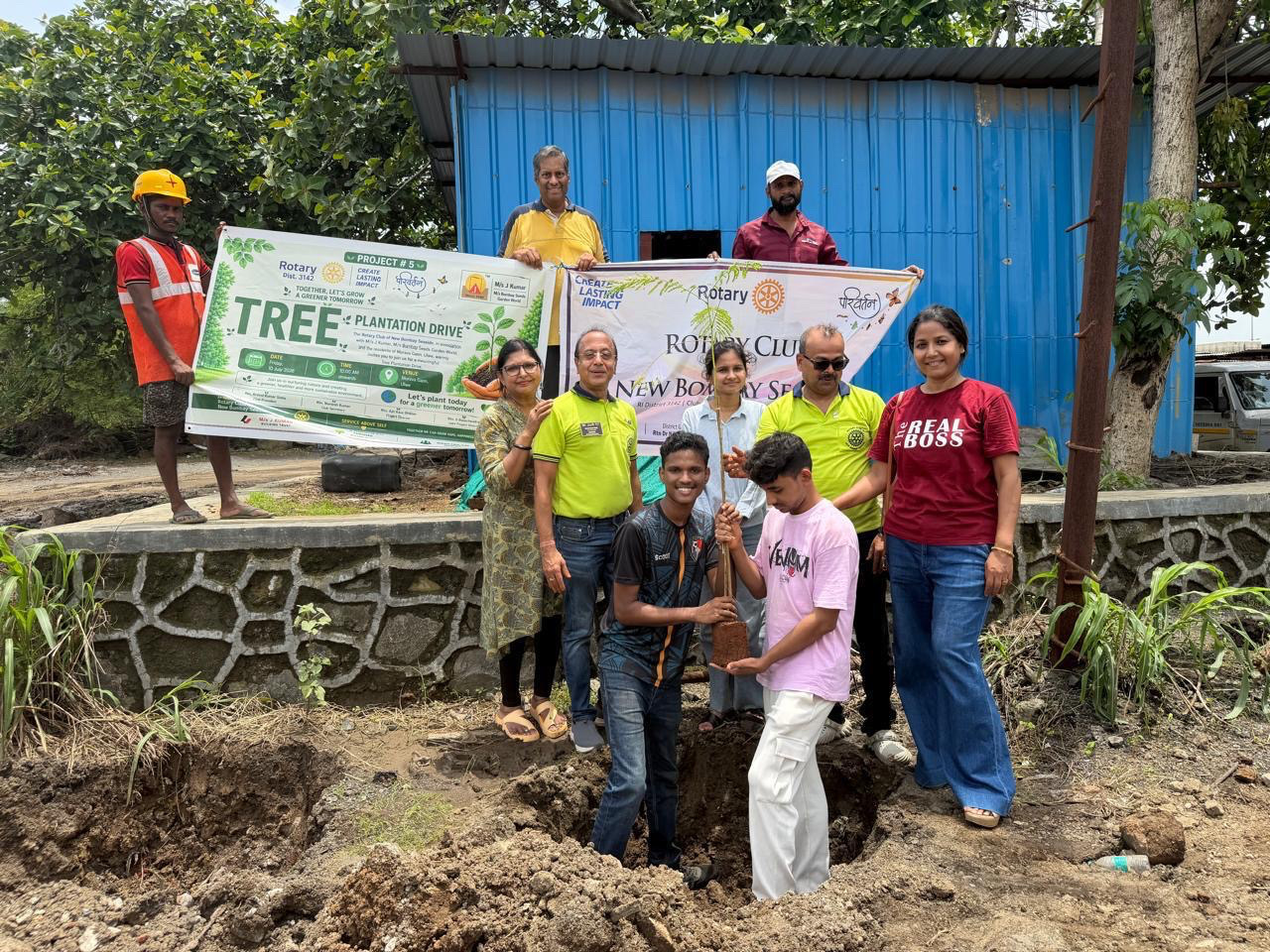 Tree Plantation